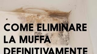 COME ELIMINARE LA MUFFA UMIDITACONDENSA UMIDITA DI RISALITA CHIAMA 340415527 ti aiuterò [upl. by Chas]