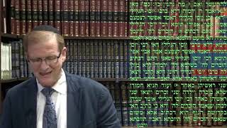 Talmud Daf Yomi Bekhorot 9 Rabbi Dr Moshe Weisblum תלמוד דף יומי בכורות ט הרב דquotר משה ויסבלום [upl. by Ainaj]