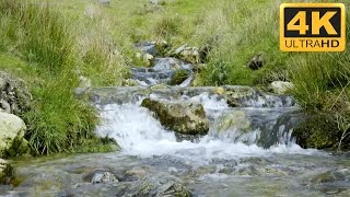 Water Flowing Video with Relaxing Flowing Water Sounds in 4K nature ASMR [upl. by Rosenblum449]