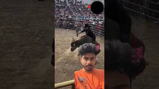 Duniya ka sab se khatranak game 😱 rodeo cowboys horse bull bullriding Dpmagic1 cowboy [upl. by Dhruv]