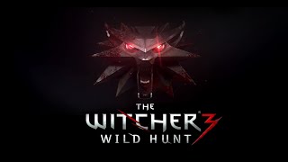 The Witcher 3 Wild Hunt  Ep 45  Camaradas de Armas Skellige [upl. by Ecital322]