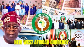 JUST IN ECOWAS SET TO UNVEIL A NEW SINGLE CURRENCY ECO africannews africa ecowasnewcurrency [upl. by Tews]