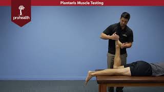 Plantaris Muscle Test Palp Dr Nikita Vizniak Muscle Manual [upl. by Travus]