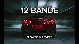 12 BANDE SLOWED amp REVERB LOFI۔ [upl. by Nihhi]