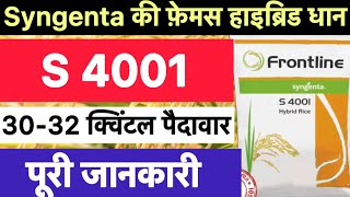 Syngenta s 4001 paddy variety  syngenta s 4001 dhan ki kheti kaise kare [upl. by Aiclid]