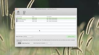 iSkysoft Data Recovery  The Easiest Way for Video File Recovery [upl. by Darline]