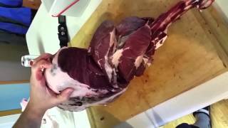 Butchering Your Deer  The Deboning Process for Venison [upl. by Amor]