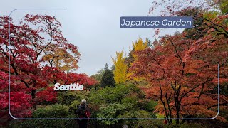 Japanese Garden Seattle Beautiful Fall SreekanthVideoVault travelusaindiatelugusubscribe4k [upl. by Casi]