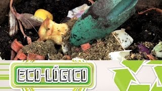 Compostadores Domésticos de Basura  EcoLógico Cap6 [upl. by Ahseken]