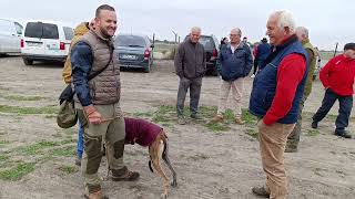 Los Prados Cercon Dámaso Previo Galgos CDCastilla la Mancha 1 Día 8  11  2024 [upl. by Hannaj]