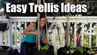 Easy Inexpensive DIY Trellis Ideas Growing Vertically  Small Space Garden Series 3 [upl. by Eliam]