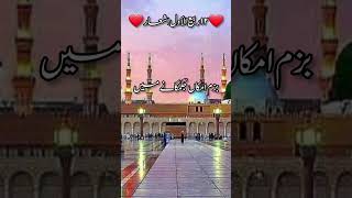 12 rabiul awal ashar Eid miladunnabi par shayari 12rabiulawalstatus shortvideo [upl. by Frederic]