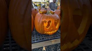 Pumpkin patch 🎃Anihayoutubeshorts shorts youtube usa pumpkin cravings usateluguvlogs [upl. by Lotus]