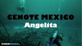 Best Diving Cenote Mexico Angelita  Plongee Cenote Angelita Mexique [upl. by Solrak]