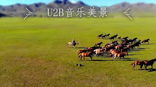 Roundup on the Prairie【電影配樂歡樂】By Aaron Kenny for Galloping mustang [upl. by Adnohsal]