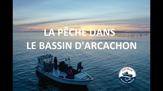 La pêche dans le Bassin dArcachon et à locéan CRPMEM NouvelleAquitaine [upl. by Anelah]