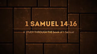 The Book of I Samuel 1416 [upl. by Gregrory]