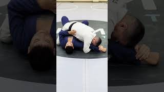 4 Types of Arm Attacks jiujitsu bjj adcc mma judo grappling [upl. by Zonda]