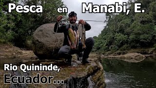 Pesca de Sabaletas y Bantes en el rio Quinindé provincia de Manabi Ecuador [upl. by Llennoj]