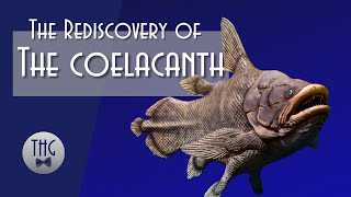 Loch Ness Outdone Rediscovery of the Coelacanth [upl. by Nahguav725]