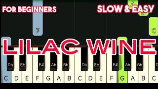 MILEY CYRUS  LILAC WINE  SLOW amp EASY PIANO TUTORIAL [upl. by Riesman]