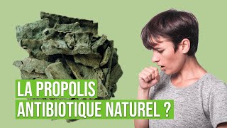 Questce que la propolis   Lallié de la ruche pour votre santé  Bienfaits et applications [upl. by Noslen]