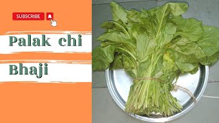 Palak chi Bhaji [upl. by Victory]