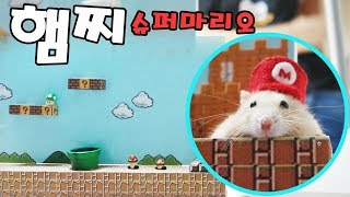 슈퍼마리오 세상속에 들어간 햄스터들  hamster Super Mario ハムスタースーパーマリオ [upl. by Remle]