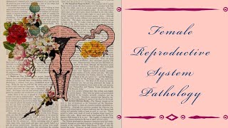 FEMALE REPRODUCTIVE SYSTEM PATHOLOGY lecture 1 VULVITIS in detail [upl. by Nivej]