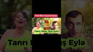 Tanri Meni Qus Ele Remix Tanrı Məni Quş Eylə Remix trendshorts cat parrot [upl. by Eiralih]