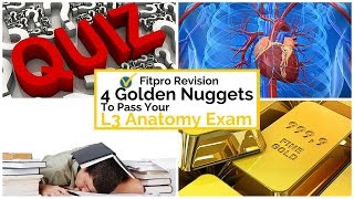 4 Golden Nuggets to Pass Your Level 3 Anatomy Exam [upl. by Hoi777]