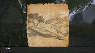 Greenshade Treasure map 3 for the Elder Scrolls Online ESO [upl. by Blessington905]