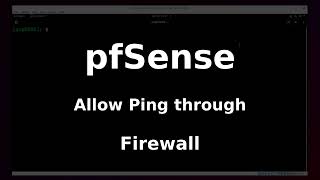 Networking Allow Ping on pfSense firewall Linux [upl. by Meara]