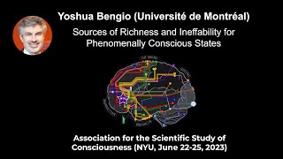 Yoshua Bengio Sources of Richness and Ineffability for Phenomenally Conscious States  ASSC26 [upl. by Lemej]