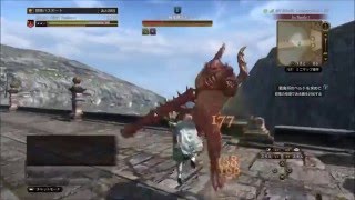 【DDON】 ファイターをやりたくなる動画 vsベルトモゴック [upl. by Nollahs]