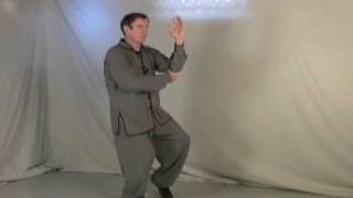 Chen Tai Chi 38 form video from DVD by Sifu Ken Gullette [upl. by Norma]