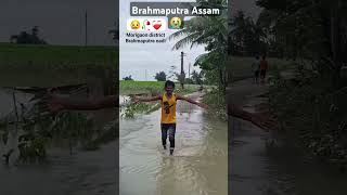 Brahmaputra Assam shorts shortsvideo youtubeshort viralvideo trainingshorts amirulas01 [upl. by Suoivatram]