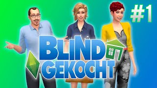 BLIND GEKOCHT PARODIE IN T WEST VLAMS [upl. by Stevy99]