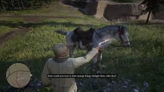 NPC killed his horse after losing race  RDR2 NPC Moments [upl. by Keener]