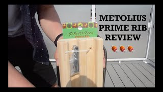 Metolius Prime Rib Hangboard REVIEW  USE The Perfect Beginner Hangboard [upl. by Ertnod]