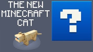 Minecraft 114 News Who Will Be The New Minecraft Cat [upl. by Drallim376]