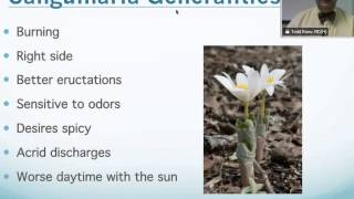 Sanguinaria Canadensis Homeopathic Medicine Tips For Beginners [upl. by Carolynn32]