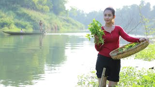 Harvest water convolvulus for food  Polin lifestyle [upl. by Merrill]