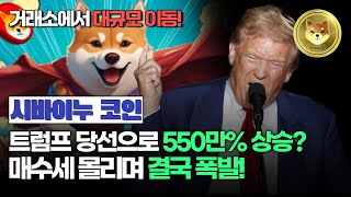 시바이누코인 트럼프 당선 이후 수요 폭발했다 블랙록과 기관투자자의 관심 집중 전문가들이 말하는 1달러 무조건 간다 [upl. by Ayvid334]