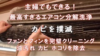 主婦が実践！エアコンの分解洗浄完全ガイド ファンやフィンのカビや汚れを業者レベルで完全クリーニングする方法 DIY 三菱 霧ヶ峰 [upl. by Edny]