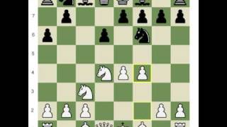 Chesscom Shankland Teaches the Najdorf 6f4 [upl. by Eniamrahs]