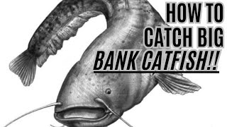 HOW TO Catch BIG Bank Catfish  THE Boatless Catfishing Guide [upl. by Indira]