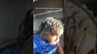 Why 4c hair is the BEST for locs 🌴 locs locjourney shorts naturalhair [upl. by Zsazsa310]