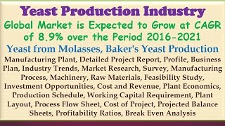 Yeast Production Industry [upl. by Ssur]