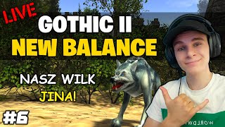 Gothic II NEW BALANCE ⚔️ Mamy własnego wilka 🔥 6 🔴 NA ŻYWO [upl. by Aneroc]